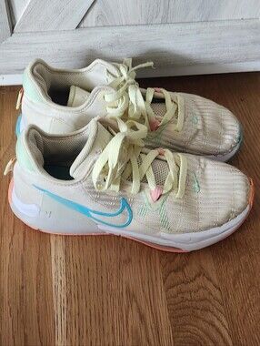Nike LeBron Witness VI 6 EP 'Easter' Shoes Youth